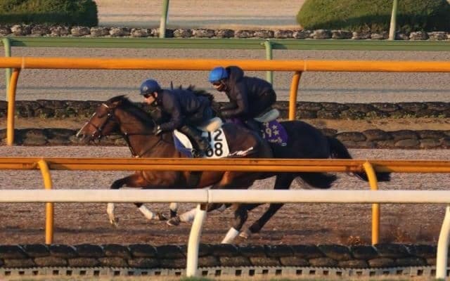 シャフリヤール、ドバイシーマC追い切り速報/栗東トレセンニュース