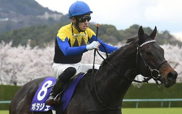 ポタジェやフェーングロッテンなど金鯱賞に12頭