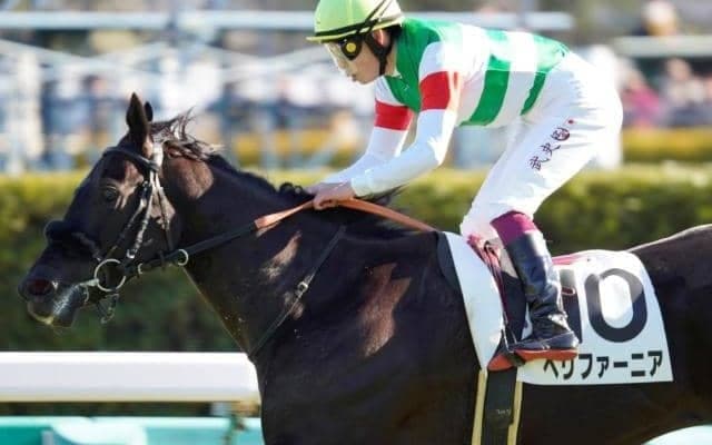 エフフォーリアの妹が重賞初挑戦初制覇を狙う