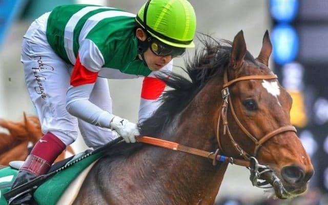 名繁殖牝馬のクラフテイワイフを祖とする2頭 東西でクラシック出走権獲得なるか