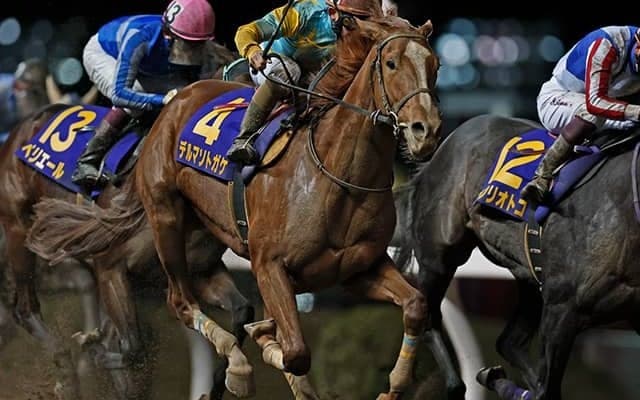 昨年の2歳ダート王がUAEダービーへ 新鞍上にC.ルメール騎手