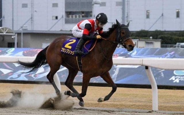 【エンプレス杯】川田「返し馬からとても苦しさを感じる雰囲気でした」グランブリッジが交流重賞4勝目