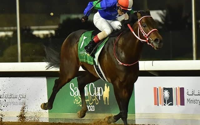 パンサラッサやジオグリフなど12頭 ドバイWCデーへ現地入り