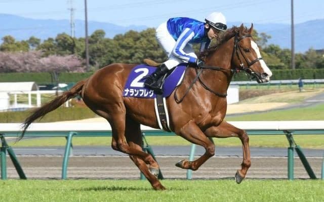 【オーシャンS出走馬・騎手確定】ナランフレグ＆丸田恭介騎手、ヴェントヴォーチェ＆ルメール騎手など16頭