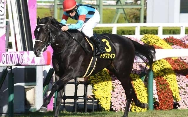 【弥生賞ディープ記念出走馬・騎手確定】トップナイフ＆横山典弘騎手、タスティエーラ＆松山弘平騎手など10頭