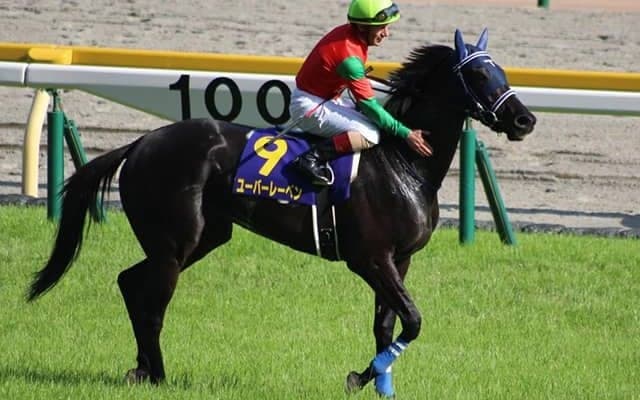 オークス馬は母としても大活躍！ ユーバーレーベンも期待大