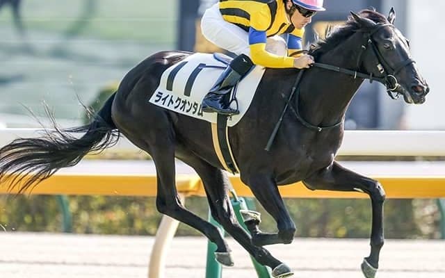 シンザン記念Vのディープ産駒最終世代馬 武豊騎手と桜花賞で無傷のGI制覇へ