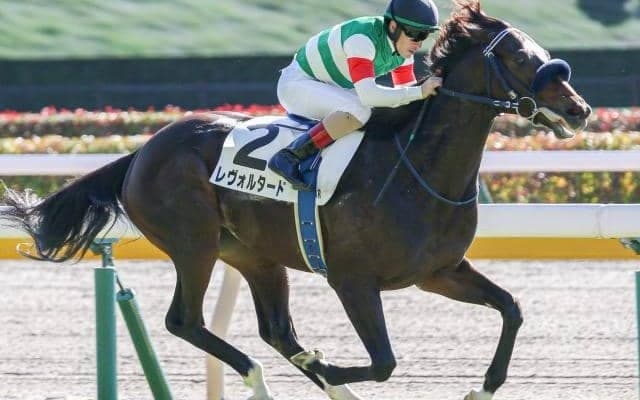 少頭数の弥生賞は波乱傾向!? 高配狙いなら逃げ先行馬に注目を