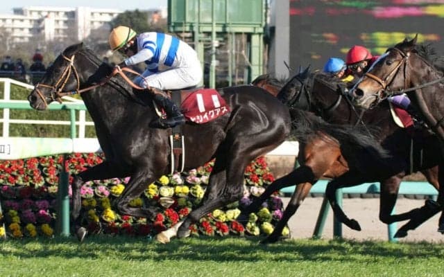 【中山記念】ヒシイグアスが重賞3勝目