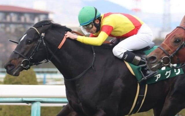 【阪急杯】横山和「見違えるように馬が変わった」アグリが重賞初制覇