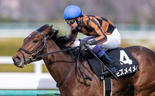 【武豊日記】ワンチャンスあると思っています