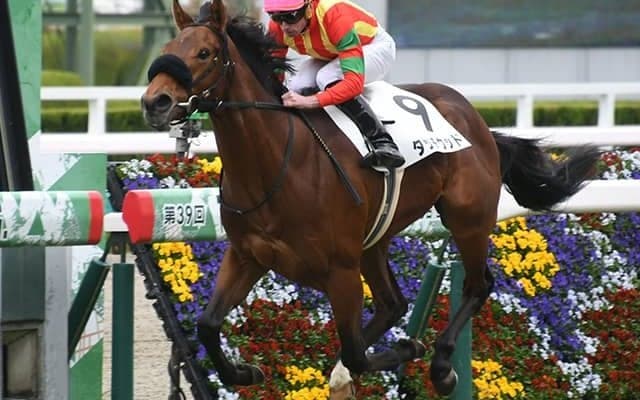 3億円馬の追撃抑え共同通信杯で好走のタッチウッド 武豊騎手との新コンビで皐月賞へ