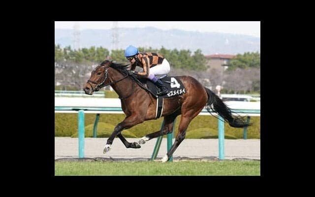 チューリップ賞はディープインパクト系が好成績　マイラー血統の本命馬と大物牝馬が多いキズナ産駒の２頭を狙う
