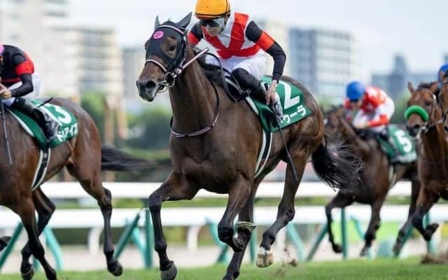 【チューリップ賞枠順確定】ドゥーラは4枠8番、キタウイングは1枠2番