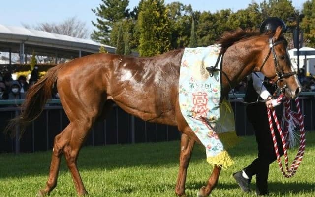 【オーシャンS枠順確定】ナランフレグは1枠2番、ヴェントヴォーチェは5枠9番