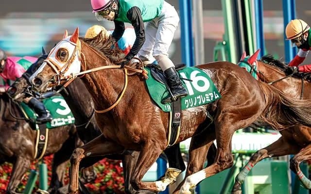 クリノプレミアムやアートハウスなど中山牝馬Sに12頭