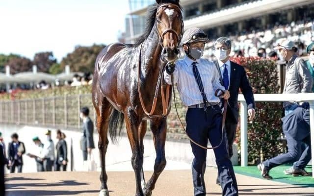 【弥生賞予想】タスティエーラ「中2週」は強行ローテ？ データが示す「複勝率4.2%」の難関