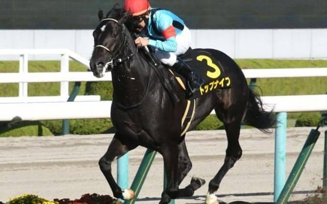 【弥生賞ディープ記念前日オッズ】トップナイフが3.2倍で1番人気 出走10頭中5頭が10倍以下