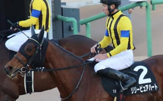 【湾岸S予想】復調気配のリリーピュアハート 嫁入り前にここで勝利を掴みたい
