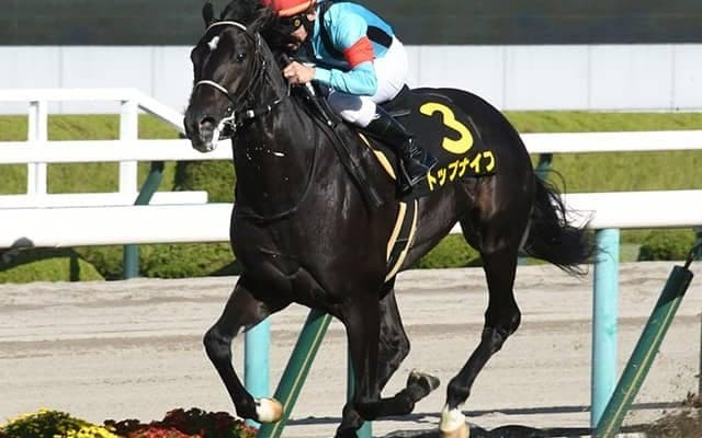 【AI予想・弥生賞】人工知能もお手上げ!? 人気でも逆らえない「◎」GI奪取へ巻き返し必至