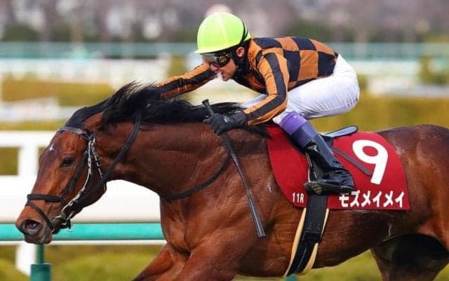 【チューリップ賞】武豊「今日の勝利は誘導馬が良かったと思います（笑）」モズメイメイで逃げ切りV