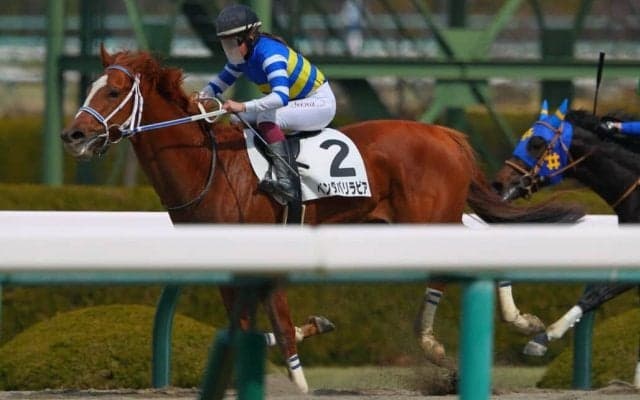 【阪神6R】今村聖奈騎乗 ベンダバリラビアが出遅れるも鮮やかな差し切り