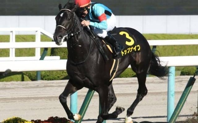 【今日の注目ポイント】中山で皐月賞TRの弥生賞ディープ記念