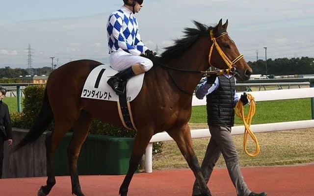 【弥生賞予想】タフなコースを乗り切るパワーや底力が問われる