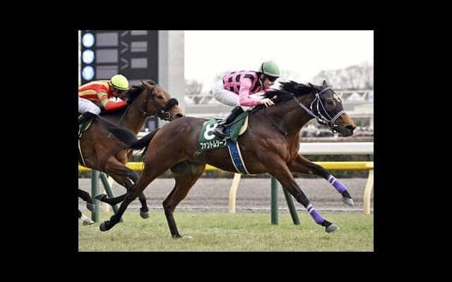 共同通信杯を制したファントムシーフ「レースセンスに優れ、いいモノを持っている」と陣営の期待も絶大