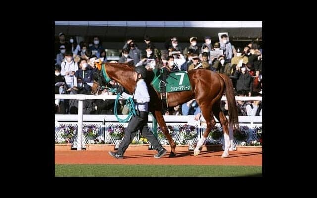 手薄なメンバー構成となった弥生賞は「中穴狙いが吉」期待はタフな流れと馬場で浮上する２頭