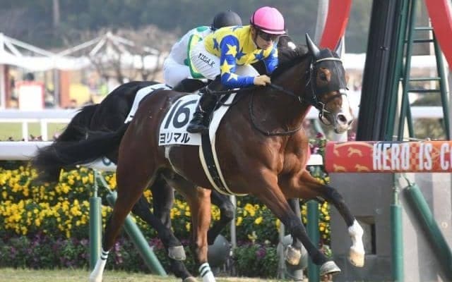 【弥生賞予想】「少頭数の8枠馬」は今年も成立？ 併せて狙うべき弥生賞鉄板傾向とは？