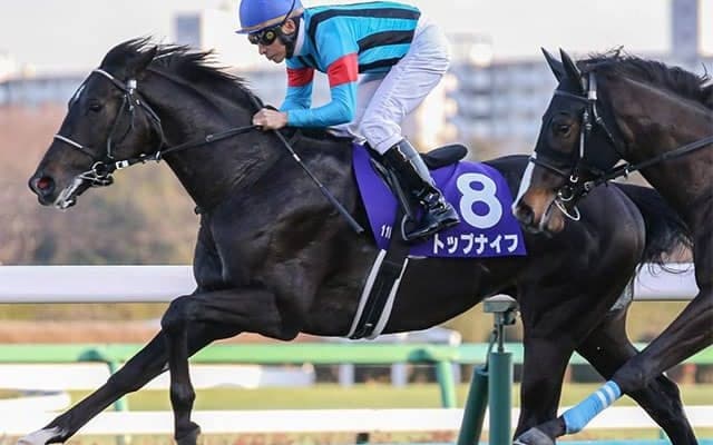 【弥生賞・馬体重】トップナイフは484kg(-10)、タスティエーラは484kg(-2)