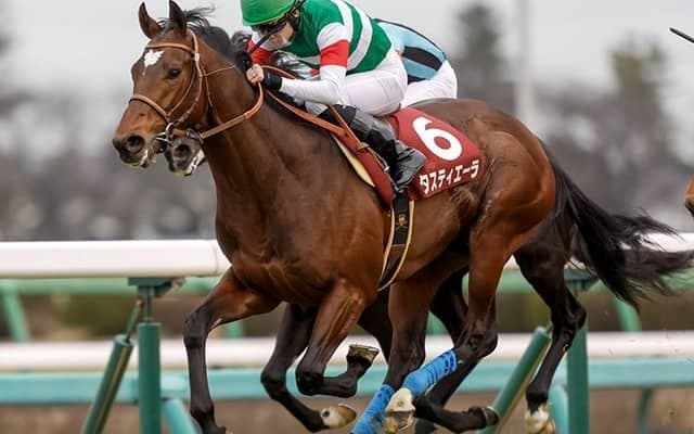 【弥生賞ディープ記念結果】タスティエーラが押し切りV サトノクラウン産駒初の重賞制覇