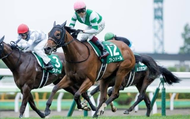 【フィリーズレビュー】ブトンドール、リバーラらが登録