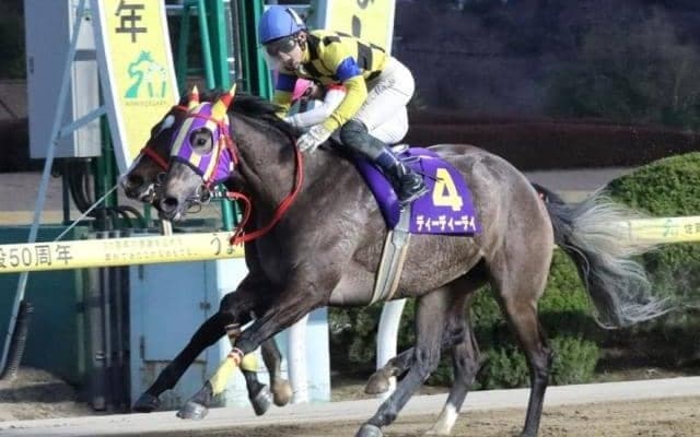 【佐賀・飛燕賞結果】スピルバーグ産駒のディーディーデイが重賞初V