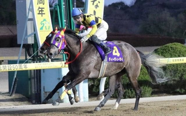 【佐賀・飛燕賞】飛田愛斗騎乗 ディーディーデイが抜け出す