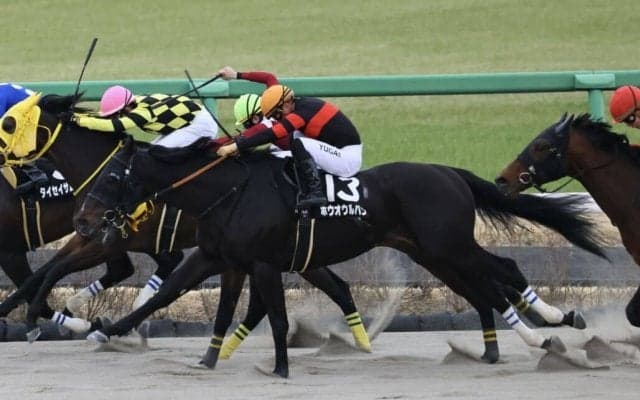 【総武S】川田将雅騎乗 ホウオウルバンがオープン初勝利