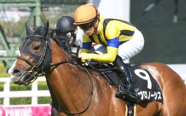 金鯱賞、フィリーズレビューなどJRAでは4重賞/今週の競馬界の見どころ
