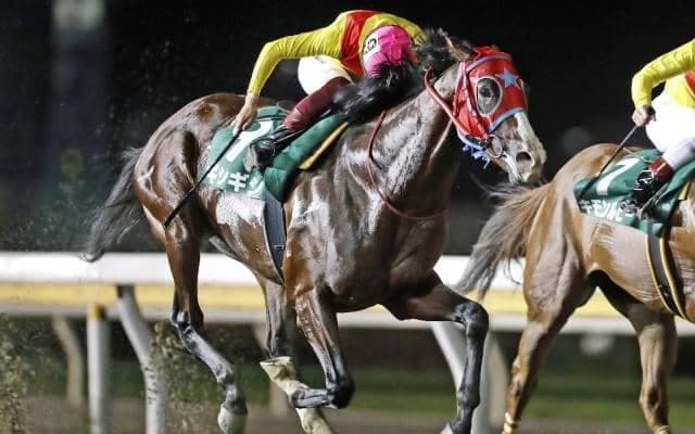 【大井・フジノウェーブ記念枠順】始動戦迎えるギシギシは2枠3番、プライルードは8枠15番