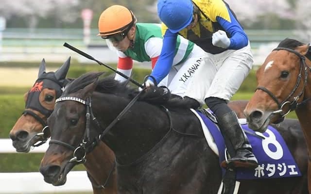 【AI予想・金鯱賞】格下相手に負けられない!? 同一GI連覇へ「良血馬」復活に期待