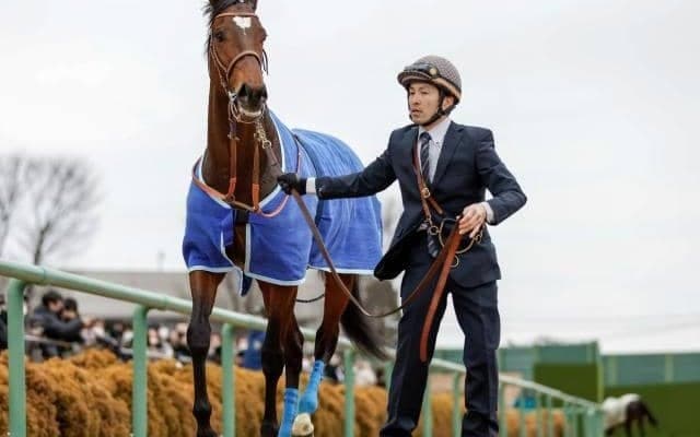 父サトノクラウンと親子制覇 タスティエーラがクラシックに名乗りをあげる