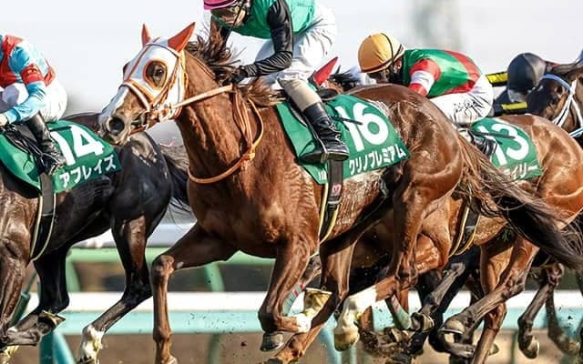 3連単170万円超えの大荒れから1年 波乱の使者が今年も中山牝馬Sに参戦