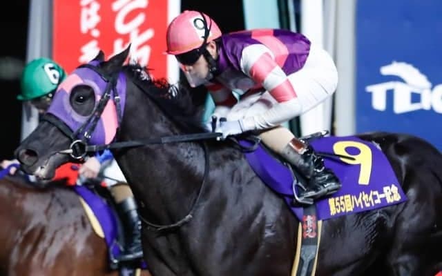 地方馬史上初の米国遠征が決定！大井所属・5戦4勝の3歳馬がサンタアニタダービー参戦