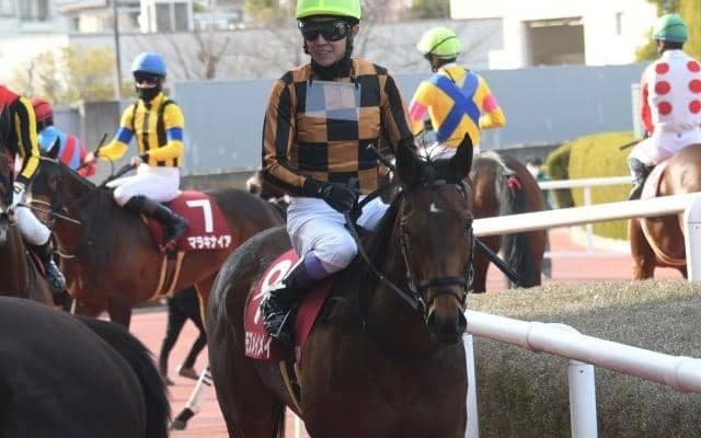 同じ父持つ重賞馬と似た配合 血統の強みを活かしたモズメイメイ