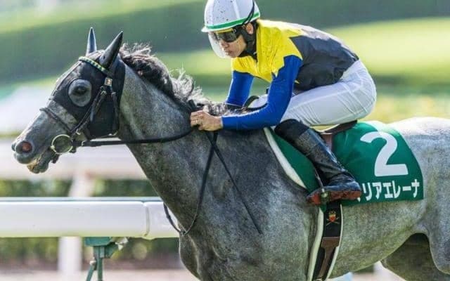 クロフネ産駒19年連続のJRA重賞制覇なるか 偉業達成へ小倉記念Vの5歳牝馬が金鯱賞参戦