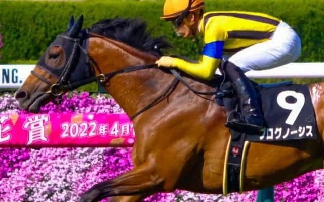 3歳から“大物”の呼び声が高きディープ産駒馬  4戦4勝の川田騎手と重賞初Vへ