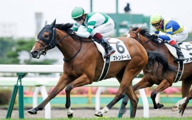 【フィリーズレビュー予想オッズ】ブトンドールが予想1番人気