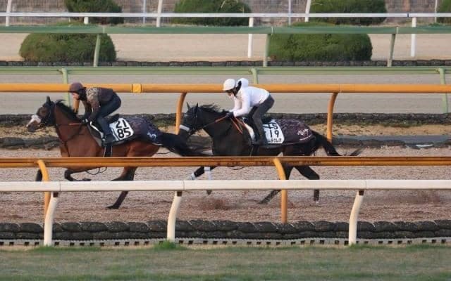 ナムラクレア、高松宮記念2週前追い切り速報/栗東トレセンニュース