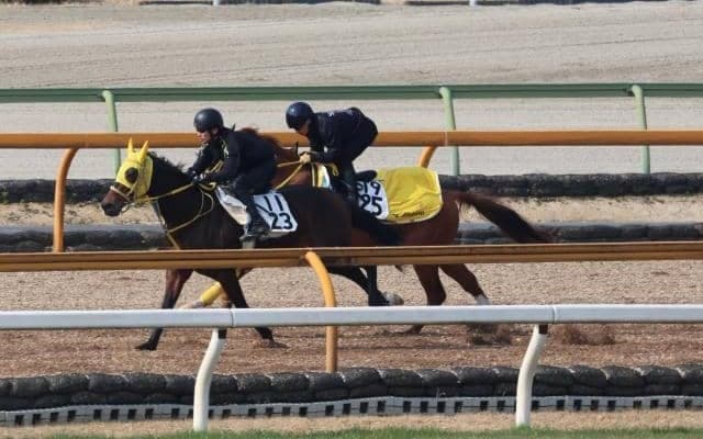 ボルドグフーシュ、阪神大賞典1週前追い切り速報/栗東トレセンニュース