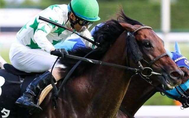 重賞で惜敗続くアラタ “新たな”鞍上迎え金鯱賞でタイトル獲得なるか